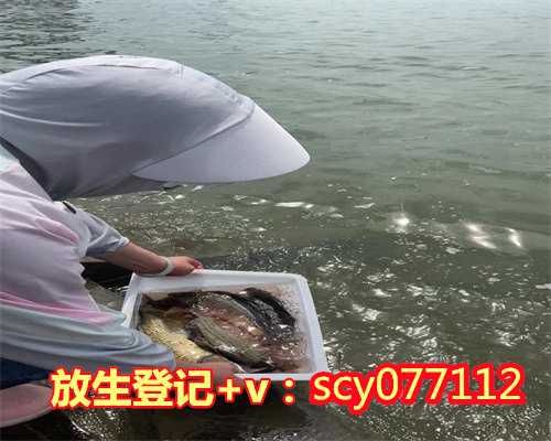 重庆放生鱼一般在什么地方放，重庆市放生小组联系方式