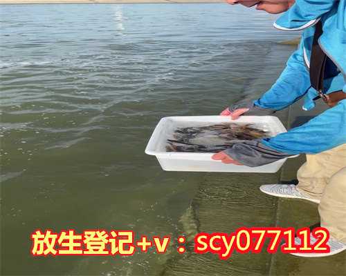 放生鱼的视频漳州冬天的鱼籽怎么放生【漳州市放生在哪里地方大】