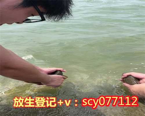衢州感恩放生图片,衢州放生用的鲤鱼在哪里买,衢州适合放生的地点