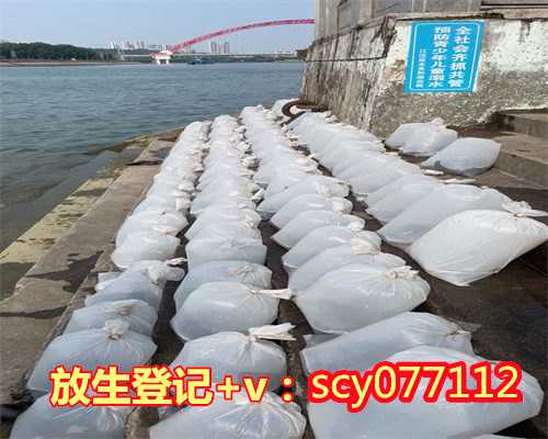 南京最新放生消息，南京琵琶湖现众多死河蚌疑为不当放生