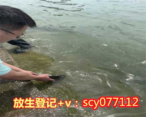 辽宁哪里可以放生泥鳅，辽宁锦州北普陀山北普陀寺水陆法会圆满送圣