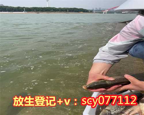 武汉公园放生田鸡,武汉哪里放生鱼最安全的,武汉何地可以放生河蚌