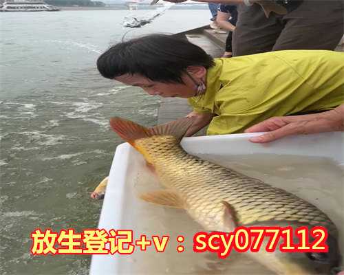滁州买鸟放生，滁州哪里可以放生鸭子呢，滁州哪有放生鱼的地方
