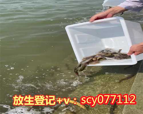 扬州泥鳅怎么放生，扬州佛教放生昆虫有什么功德，扬州别人送的乌龟可以放生