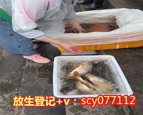 柳州放生的时辰，柳州公园可以放生红鲤鱼吗，柳州放生好去处
