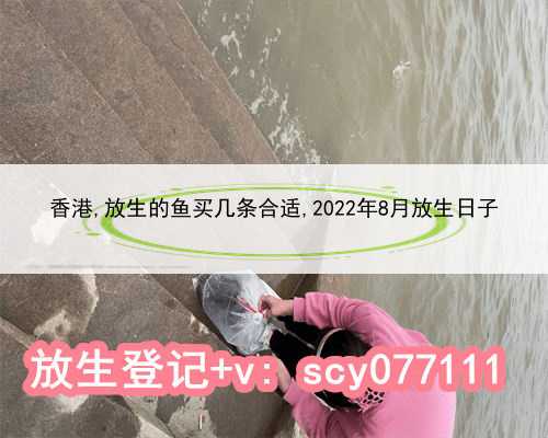 香港,放生的鱼买几条合适,2022年8月放生日子